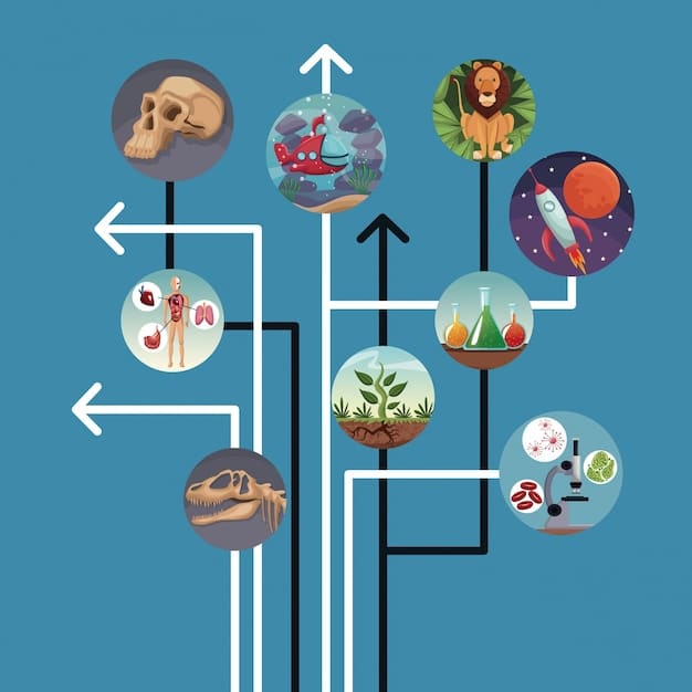 A detailed graphic illustrating the new promotion/relegation system for the Wild Rift Pro Scene in 2025. The graphic includes tiers, pathways, and key milestones for teams to climb the ranks.