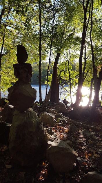 A person meditating peacefully in a lush, green forest, sunlight dappling through the leaves, conveying tranquility and mindful connection with nature.
